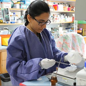 A scientist at work in a lab.