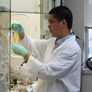 researcher in a DPPD-affiliated research center